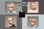 Carte postale anniversaire Atelier Coiffure à Lézinnes